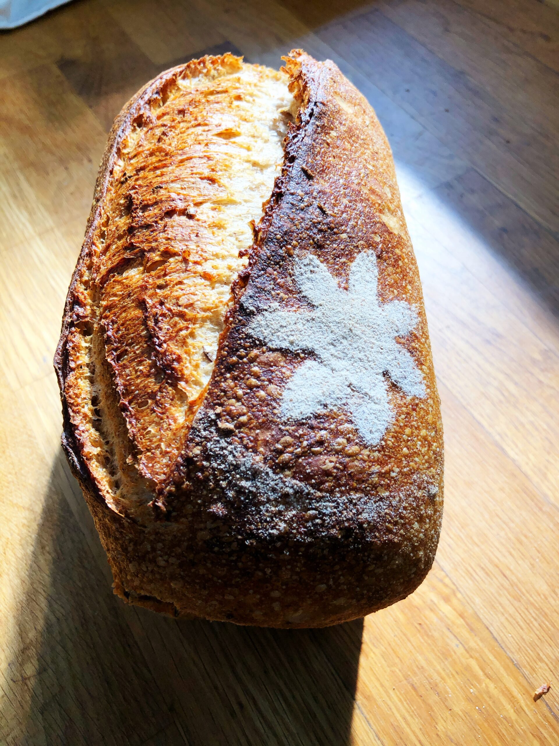 centeio site scaled.jpg