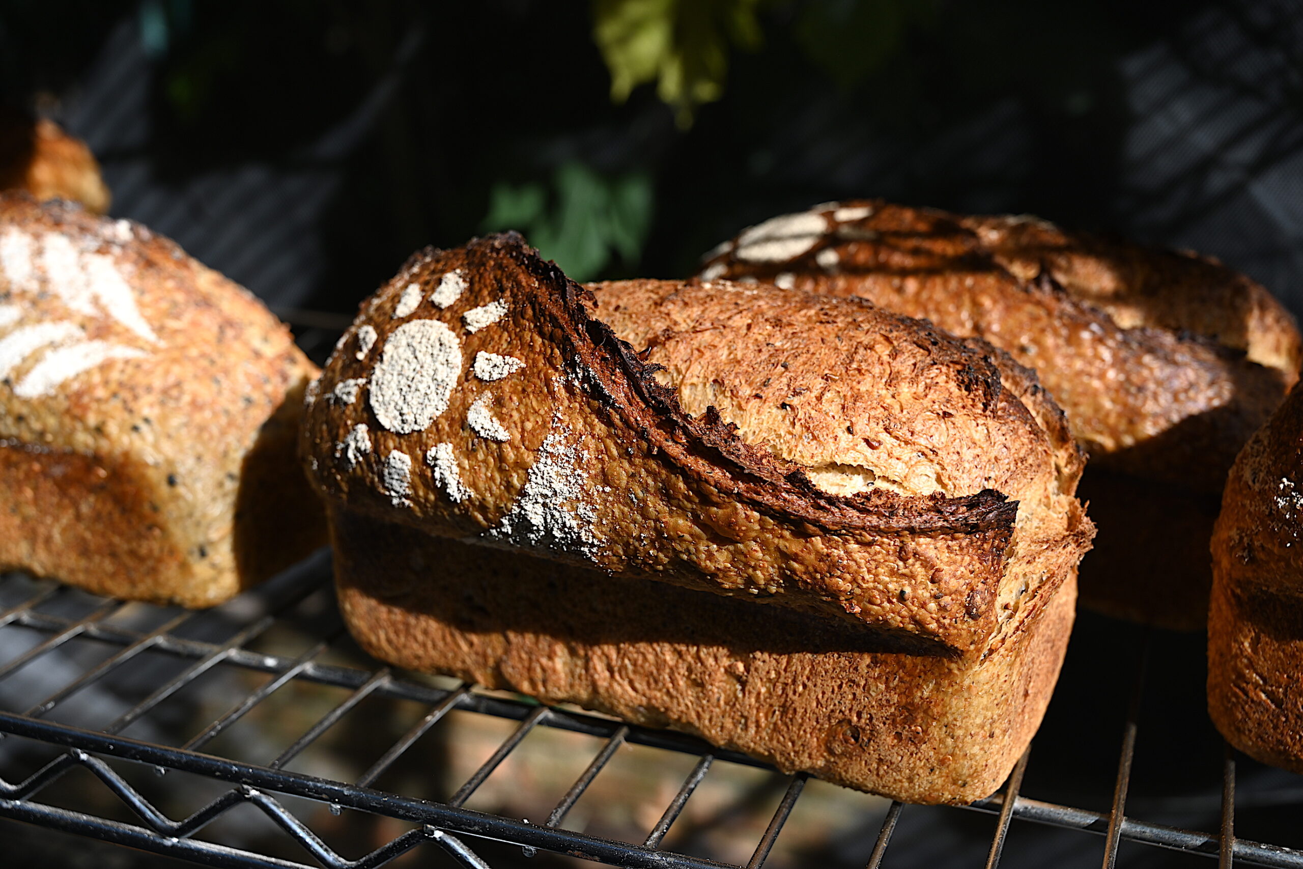 granola site1 scaled.jpg