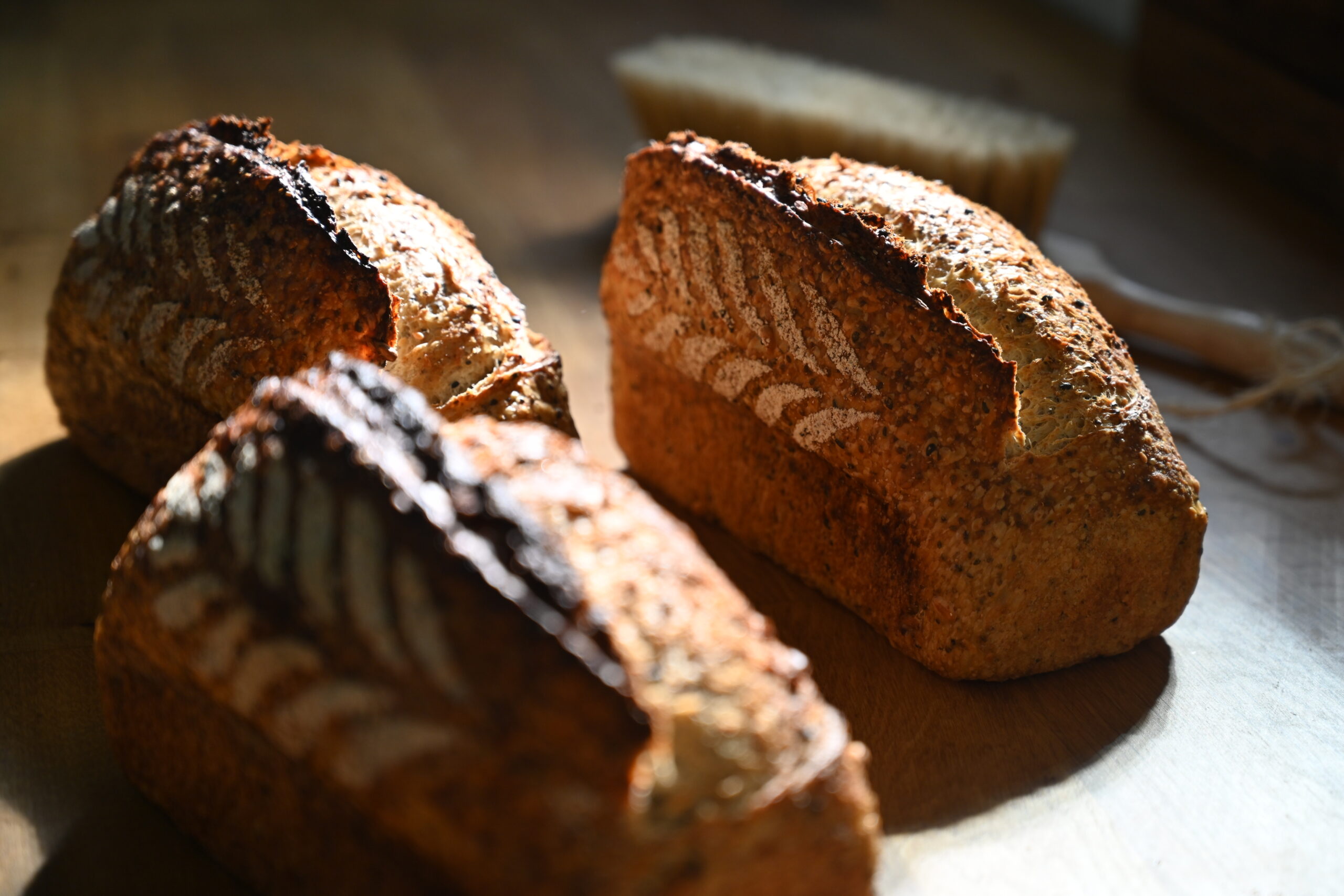 mix de sementes site1 scaled.jpg