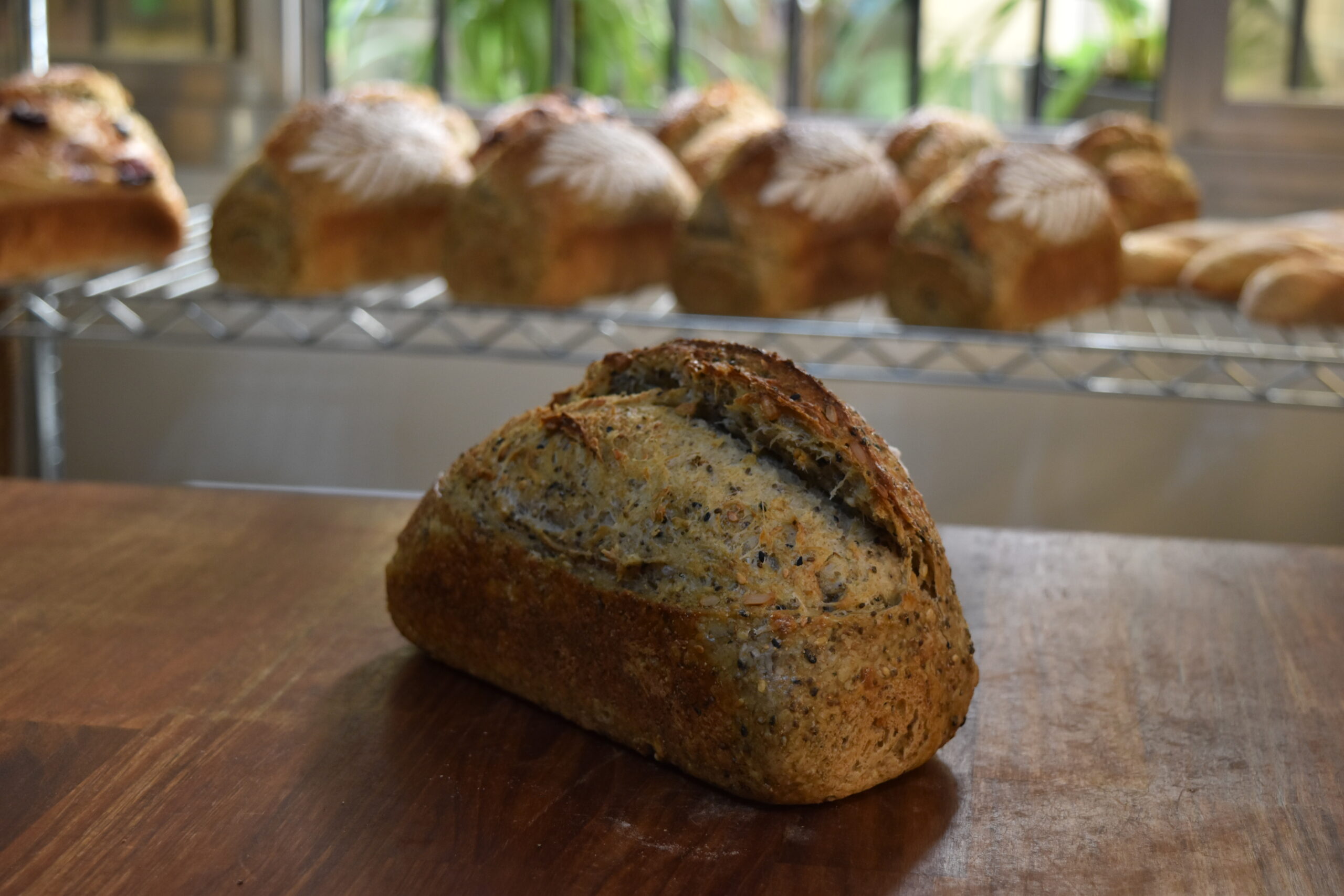 mix de sementes site scaled.jpg